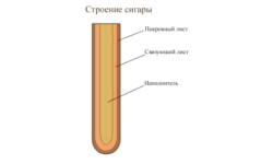 Что снаружи и внутри сигары?