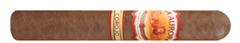 Сигары La Aurora 1962 Corojo Edition Robusto
