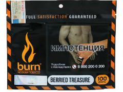 Кальянный табак Burn Beried Treasure 100 gr