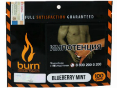 Кальянный табак Burn Blueberry Mint 100 gr