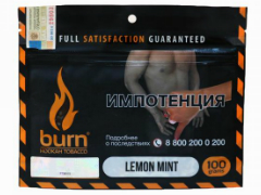 Кальянный табак Burn Lemon Mint 100 gr