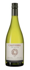 Вино Sauvignon Blanc Tributo Caliterra, 0,75 л.