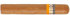 Сигары  Cohiba Robustos вид 2