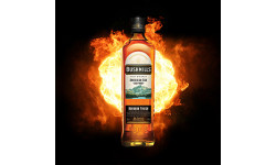 Bushmills выпустил два новых виски